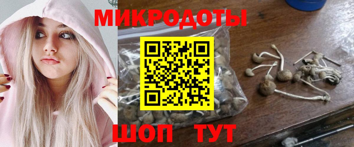Псилоцибиновые грибы GOLDEN TEACHER Соль-Илецк